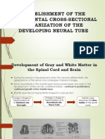 Development of Gray and White Matter