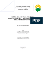 Script-Tmp-Inta-Tesis Estria Roja en Caa Deazucar Caracterizacio PDF