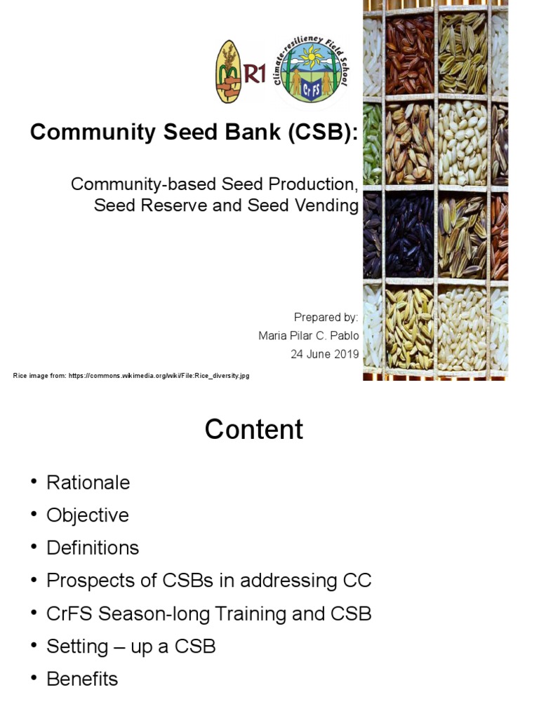 Community Seed Banking Lala 2019 | PDF | Seed | Agriculture