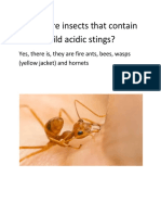 Are There Insects That Contain Mild Acidic Stings?