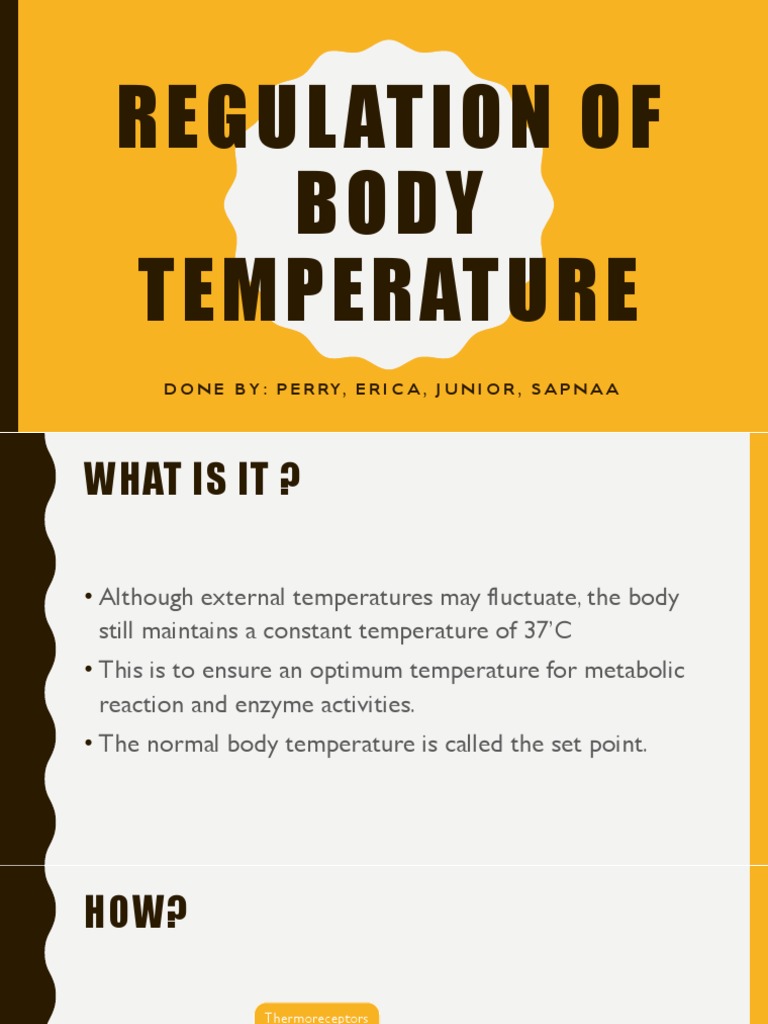Regulation of Body Temperature PDF Thermoregulation Vasodilation