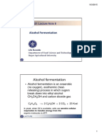 FerTech Lect 8 Alcohol