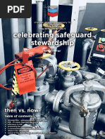 Celebrating Safeguard Stewardship: Then vs. Now