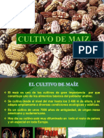 Cultivo de Maiz 2015 - Agricola