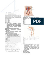 Soal Ginjal