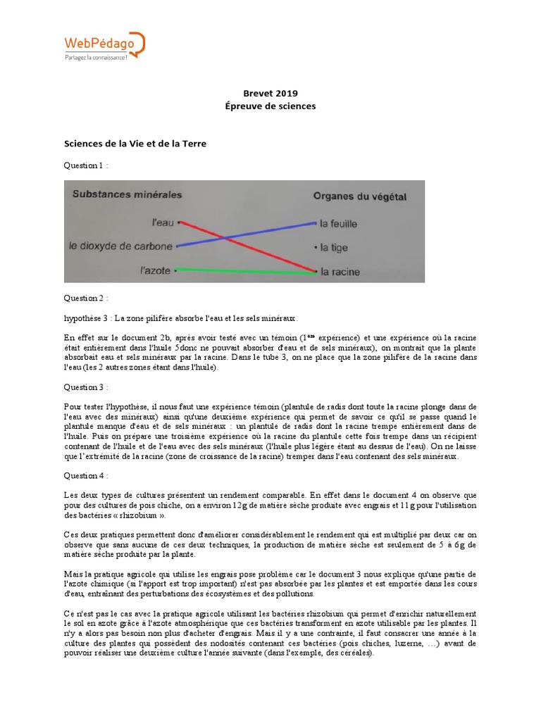 Sujet Et Corrigé Brevet Français 2019 Pdf