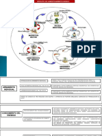 Adiestramiento Del Miliciano 2