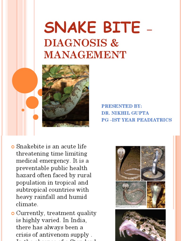 Snake Bite Ppt 1 PDF Intravenous Therapy Diseases And Disorders