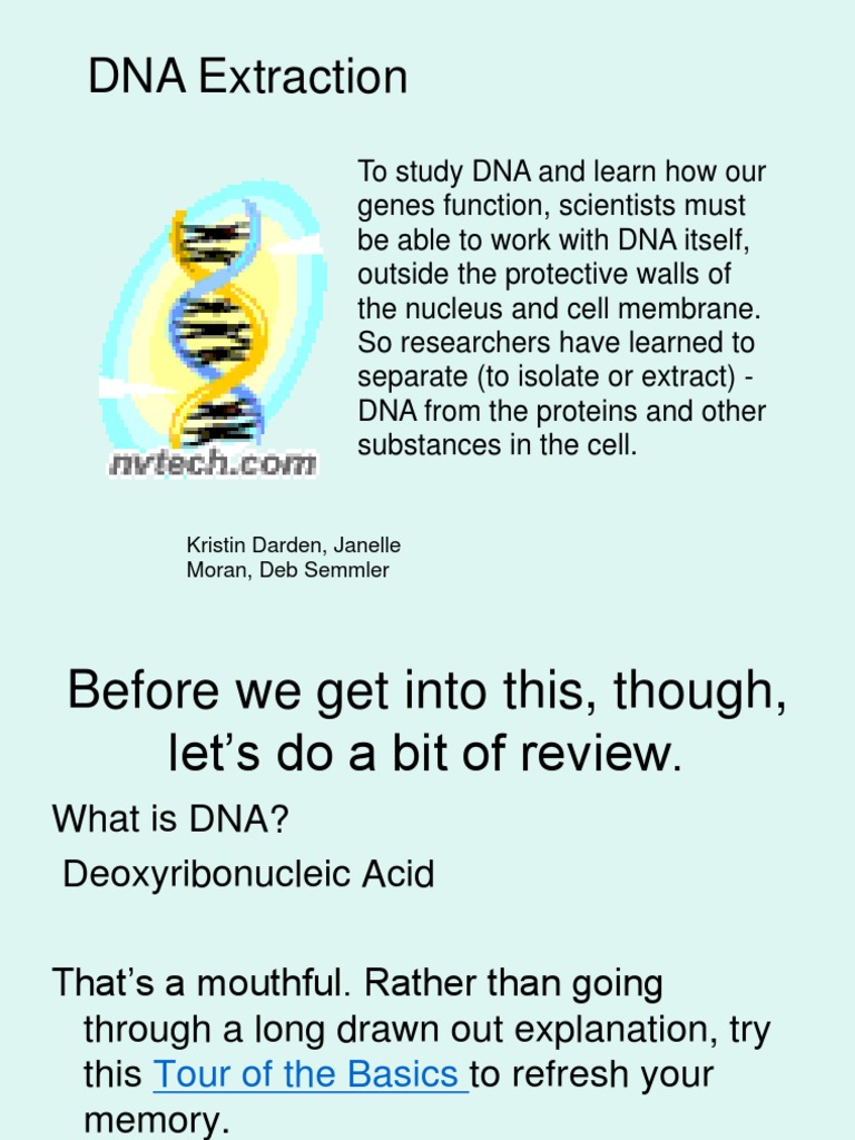 Simple DNA Extraction Guide | PDF