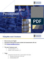 Week 9. PSYC1101 Perception Lecture 1.