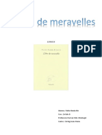 Llibre de Meravelles