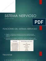 Sistema nervioso: funciones, tipos de neuronas y enfermedades