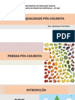 Redução de Perdas Pós-Colheita de Hortaliças