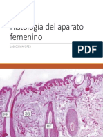 Histología Del Aparato Femenino