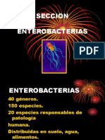 9171692-Microbiologia-enterobacterias.ppt