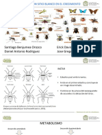 Insecticidas Con Sitio Blanco en El Crecimiento