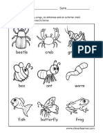 Insects Activity Worksheet Preschool