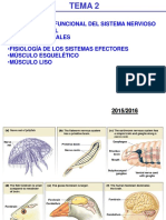Tema2_organizacion_funcional_sistema_nervioso.pdf