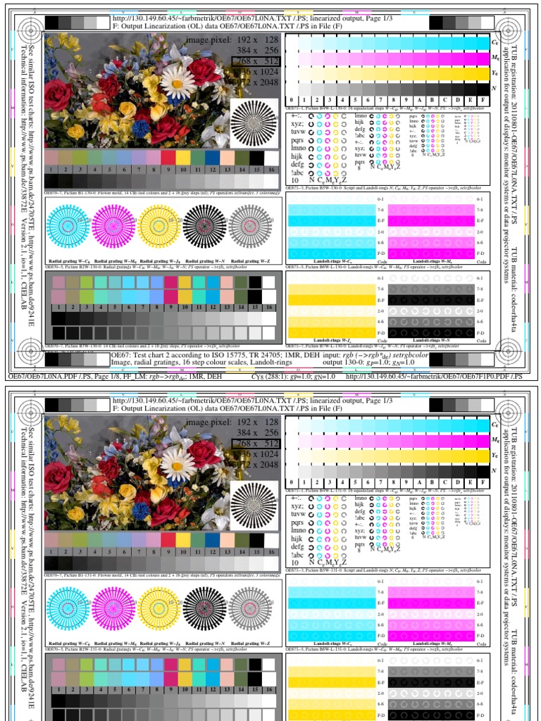 Image Pixel: 192 X 128 384 X 256 768 X 512 1536 X 1024 3072 X 2048 ...