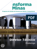 Descricao - Diretor Tecnico Prodemge