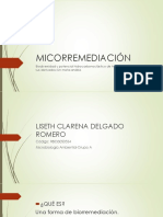 MICORREMEDIACIÓN