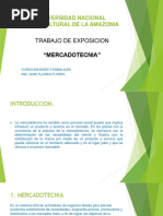 UNIVERSIDAD-NACIONAL-INTERCULTURAL-DE-LA-AMAZONIA.pptx