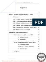 Monografie_Arad_Beliu_Strategia_de_dezvoltare_a_comunei_Beliu.pdf