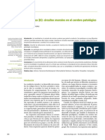 Moral y Cerebro Patológico PDF