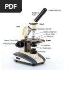 Science Process Skills - Microscope