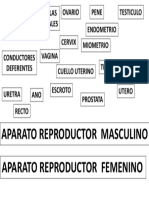 Caracteristicas Del Capitalismo