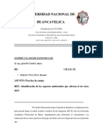 Informe de Ingenieria Ambiental.