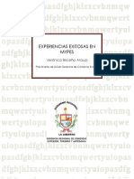 HISTORIAS DE ÉXITO EN MYPES (N e I).docx