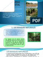 Recurso Forestal 2016