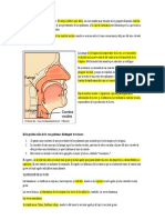 La voz humana tiene estos elementos.docx