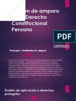 Acción de Amparo en El Derecho Constitucional Peruano Daya