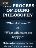 The Process of Doing Philosophy