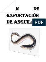 Plan de exportación de Anguila.docx