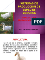 Anaculturaproducciondepato 150723024825 Lva1 App6891