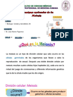 Mecanismo_Meiosis_Clase_8_Dr._Barón.pdf