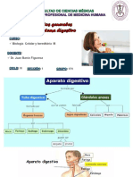 Sistema_Digestivo__Clase_1_Dr._Barón.pdf