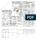 SISTEMA NERVIOSO HUMANObien.pdf