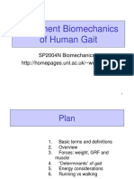 Movement Biomechanics of Human Gait