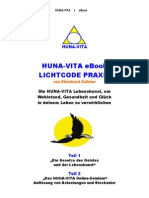 Lichtcode Praxis PDF