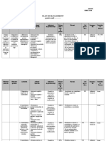 Plan de Management Contabilitate Model