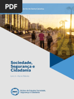 Livro II Paz Transito NESC