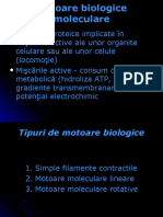 6-Motoare-Prezentare Curs PDF