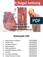 Blok 10 Cardiologi - Penyakit Gagal