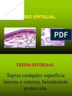 Tejido Epitelial