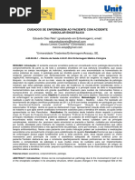 Cuidados de Enfermagem Ao Paciente Com Acidente Vascular Encefálico