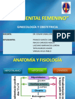 Ciclo Genital Femenino